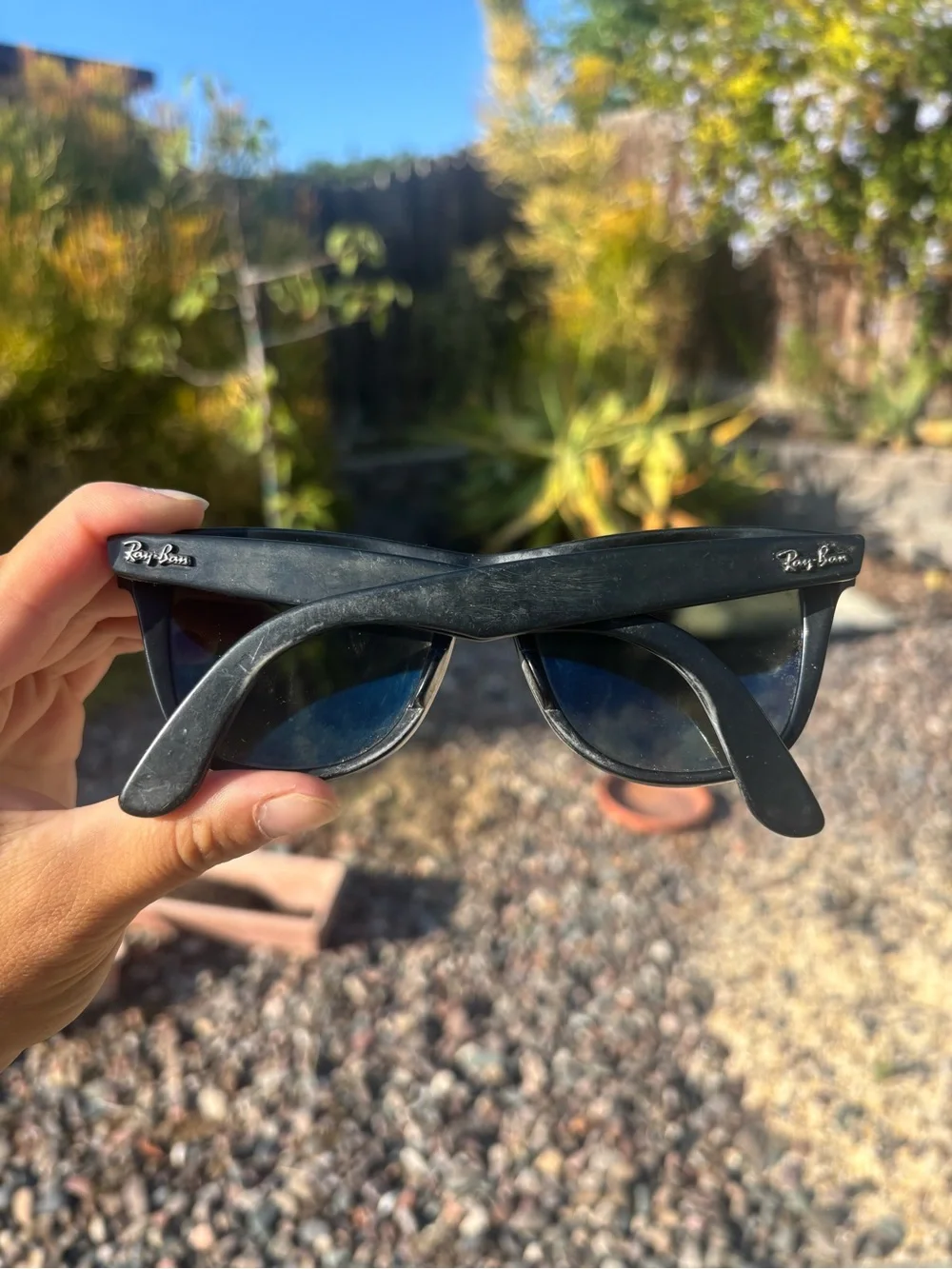 Sunglasses